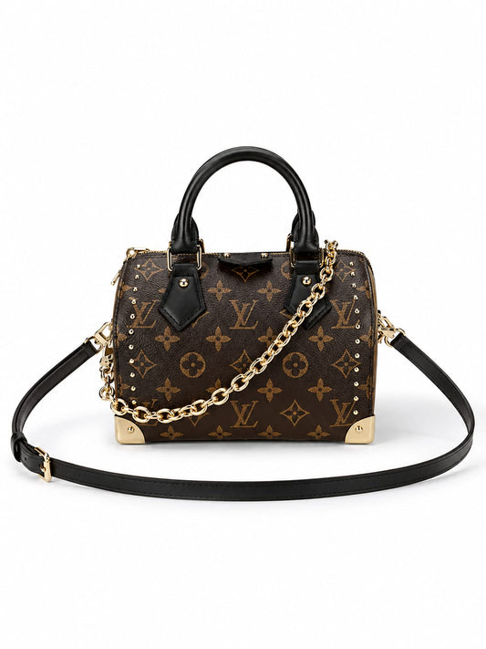 Louis Vuitton Speedy Trunk 20 handbag